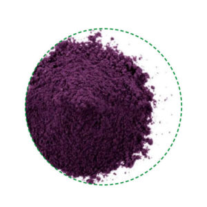 blueberry powder organic