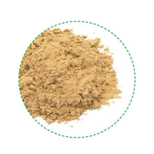 camu camu powder organic