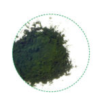 chlorella powder organic