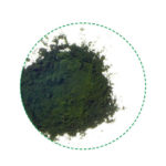 chlorella pulver organisk