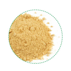 ginger powder organic