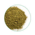 hemp protein powder
