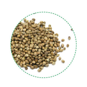 hemp seeds whole