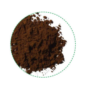 مسحوق chaga العضوية