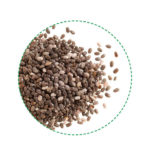 sementes de chia orgânicas