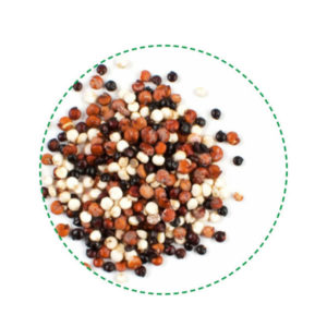 quinoa tricolor organic