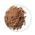 reishi powder