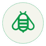 Bee Products