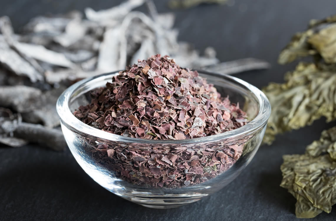 Bild der Dulse-Algen