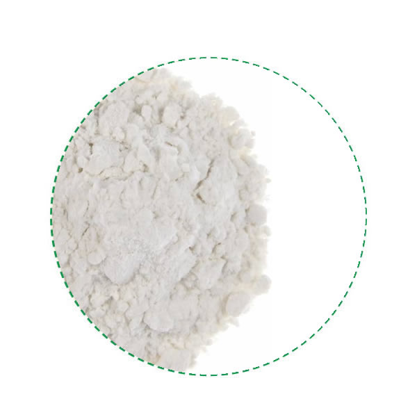 Arrowroot Powder Z Company Natural Health Food Ingredients Wholesaler