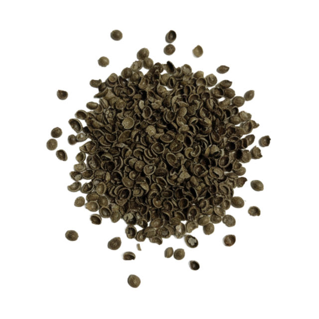 Close-up of pile of brown hemp seed shells on a clear background.