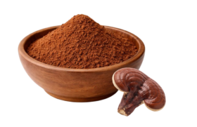 Reishi mushroom and reishi powder in wooden bowl.