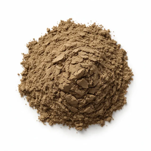 Fine maitake mushroom powder in bulk, wholesale supply from the Netherlands