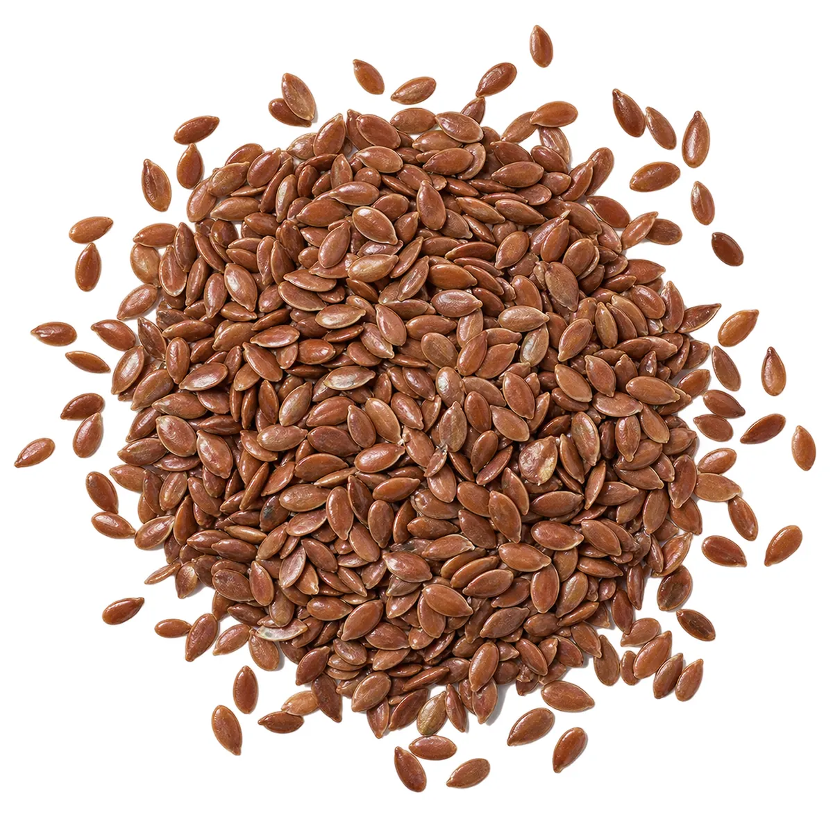 Whole brown flaxseed (linseed) in bulk, wholesale supply from the Netherlands