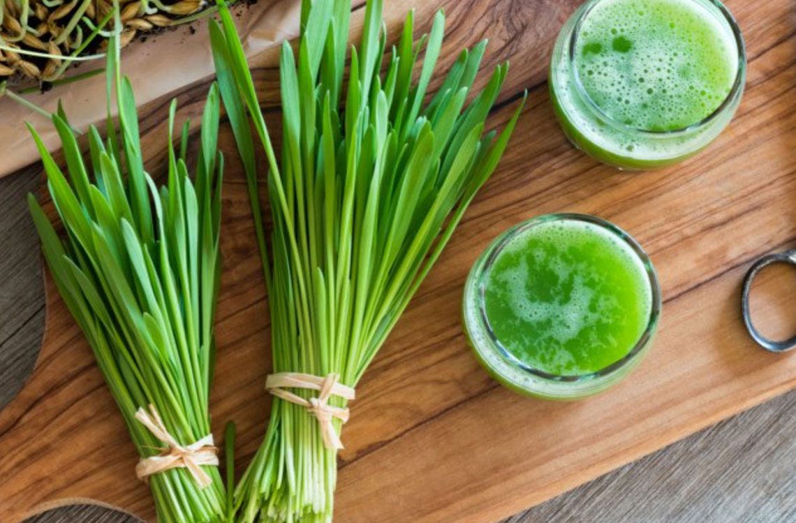 blog_wheatgrass