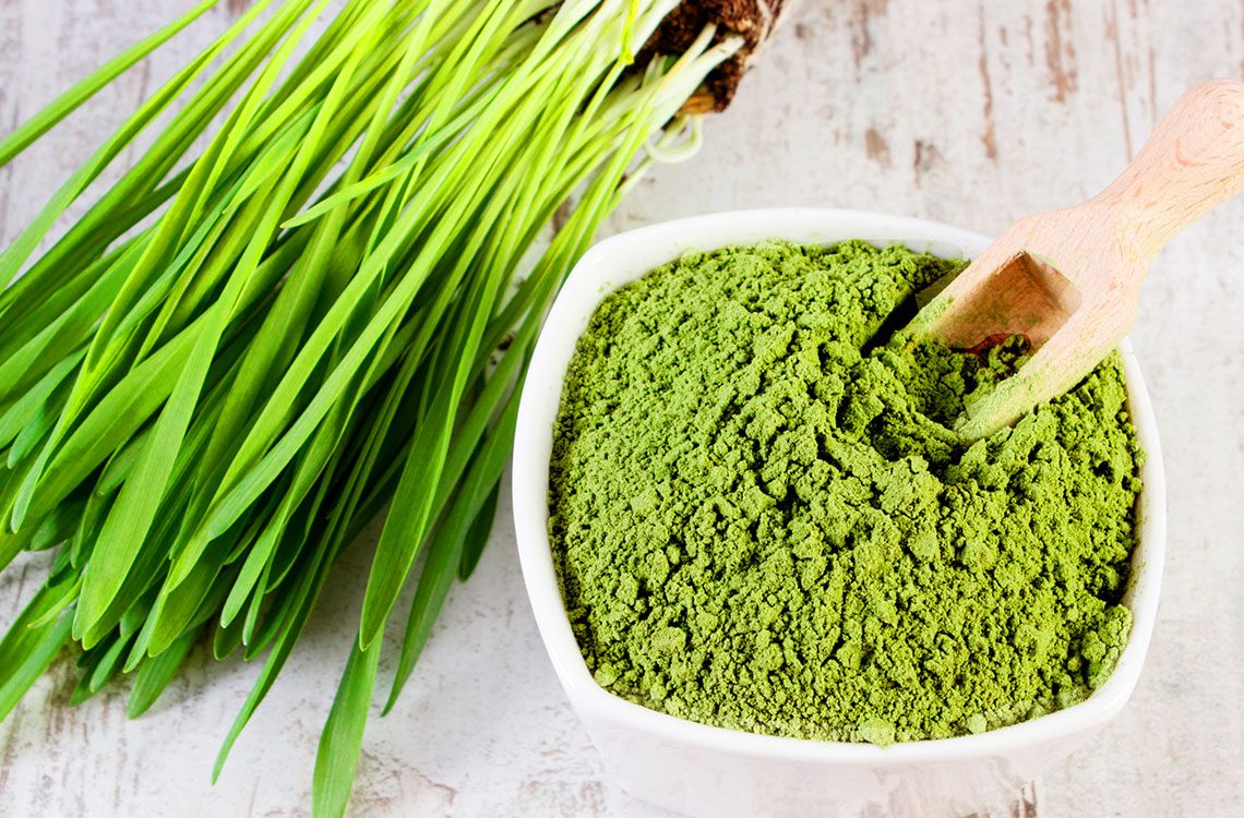 Organic Wheatgrass Powder | Z-Company | Natural Health Food Ingredients ...