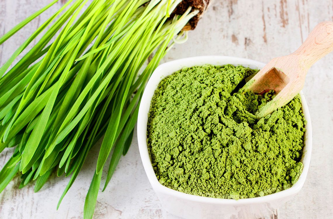 blog_wheatgrass